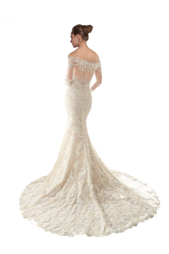 Tulle & Lace Chapel Train Off the Shoulder Mermaid Wedding Dress Plymouth